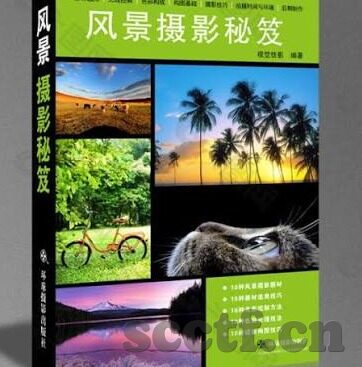 保险女王2中文字幕-保险女王2，金融世界的智慧与勇气