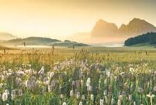 糖心app下载汅api免费新版-流量迷踪，探索糖心App的免费升级与汅API新纪元